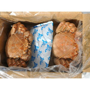 北海道産 毛がに2尾セット 網走水産 詰め合わせ セット ギフト プレゼント お中元 お歳暮 内祝い