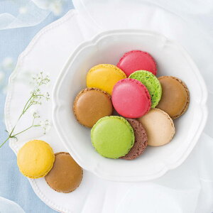 ダロワイヨ マカロンラスク(30枚入) MRU30