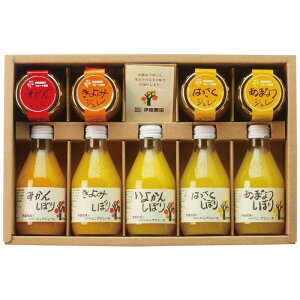 ɓ_ 100ksAW[XWZbg V-113