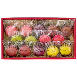 Ε Mtg 2025 Ε _C G߂̃}Jlߍ킹(14)