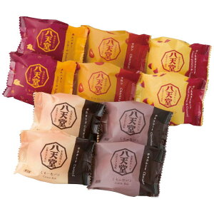 Ε Mtg 2025 Ε V ~̂[ރp510l