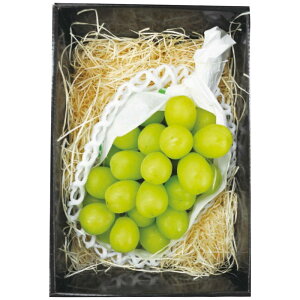 Ε Mtg 2025 Ε 쌧Y VC}XJbg