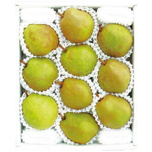 Ε Mtg 2025 Ε ݉̎R`YEtX3.2kg