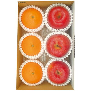 Ε Mtg 2025 Ε QY g܂ǂȁXY Tӂ