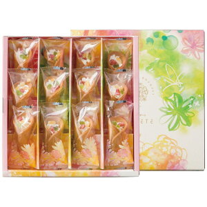 Ε Mtg 2025 Ε KOMETE ԑ̃fU[g12