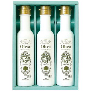 Ε Mtg 2025 Ε MVYEXI[KjbNI[uICMtg a-568