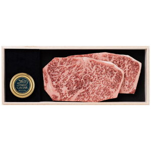 Ε Mtg 2025 Ε L VtbVLrAƐ牮T[CXe[L