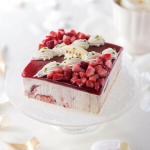 NX}XP[L 2025 D ACXP[L NX}XJ[ht Xgx[ACXP[L