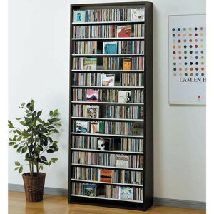 CD[I DVDbN e M[ { XgbJ[ _[N