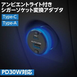VK[\Pbg USB ϊA_v^ 2A|[g DC-42W USB Type-C Type-A PD30WΉ  ArGgCgt