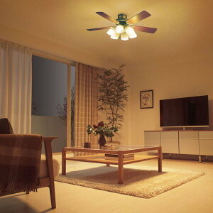 V[Ot@Cg o[VuHt LEDv 6 F Rt 3850[