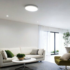 V[OCg 6-8p ^ tbgv[g Rt F 4299[ XΓVΉ