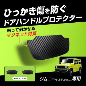 Wj[p hAnh hAmu hALYh~ veN^[ }OlbgV[g tB J[{fUCy[ z