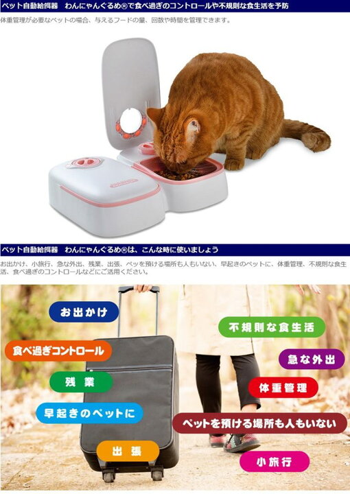 誠実 自動餌やり機 自動給餌機 小型犬 猫用 オートペットフィーダー 2食分 タイマー付き ドライ ウェット対応 Shipsctc Org