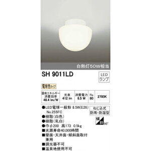 oX[Cg C̏Ɩ Ɩ LED hJ h I[fbN