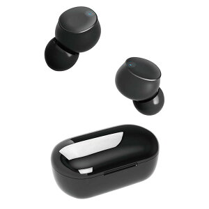 �y2025/12���ח\��z���S���C�����X�C���z�� bluetooth6.0 �h�� ������AAC �}�C�N�t�� �Ў��Ή� �r�[���Y�^ �J�i���^�C�v �u���b�N