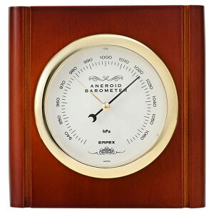 Cv [KChCv ^Cv VR ؐt[ ZT EMPEX BM-745 ubN {