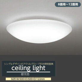 シーリングライト LED 8畳-12畳用 シンプルデザイン 天井照明器具 アクリルグローブ 連続調光
