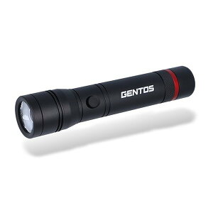 nfBCg d LED dr REXEED WFgX ϐoh 600[ XChtH[JX