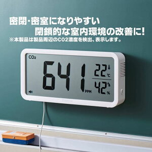 CO2Zx C𑣂CO2j^[ ^t _YfZT[ xxvt u|p