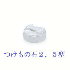 g{ ̐ Е 2.5^