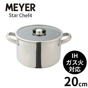  20cm IHΉ XeX KXWt X^[VFt4 20cm 