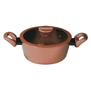 V`[|bg  Wt IHΉ 20cm A~ VISIONS GOLD Coating F S[h I[MΉ