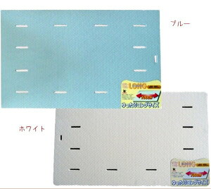 }bg oX}bg Cpo[}bg 60×100cm O u[