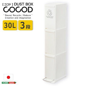 _Xg{bNX c^ʃ_Xg{bNX ʂݔ(3i X ȃXy[X t^t tbgy_ S~ 30L)