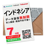 【インドネシアeSIM】7日間(168時間) データ無制限 即日利用 楽天メッセージにてQRコード送信 お急ぎの方…