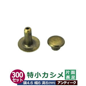 JV Жʒ 4.6mmyAeB[NzuY 300Zbgi  e300j 4.6mm 6mm 6mm ^J AeB[Nh ɏJV 6mm 2̕iŌԂȂzŒ肷 