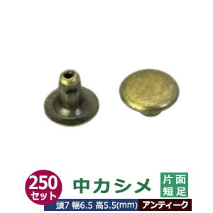 JV ЖʒZ 7mmyAeB[NzuY 250Zbgi  e250j 7mm 6.5mm 5.5mm ^J AeB[Nh 5.5mm 2̕iŌԂȂzŒ肷   G