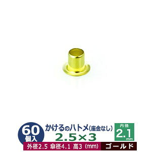  ng 2.5X3 2.5mmyS[hz60R1 Oa 2.5mm  3mm a 2.1mm Pa 4.1mm LX ^J Ȃ   3mm ɏ ng dCng  ̕⋭ dC p[c ͌^ v