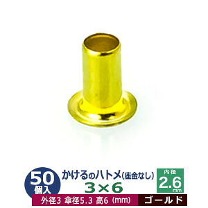  ng 3X6 3mmyS[hz 50R1 Oa 3mm  6mm a 2.6mm Pa 5.3mm LX ^J Ȃ   6mm ɏ ng dCng  ̕⋭ dC p[c ͌^ vf