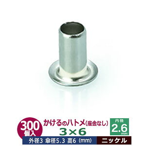  ng 3X6 3mmyVo[zjbP 300R1 Oa 3mm  6mm a 2.6mm Pa 5.3mm jbPbL ^J Ȃ   6mm ɏ ng dCng  ̕⋭ dC p[c ͌^