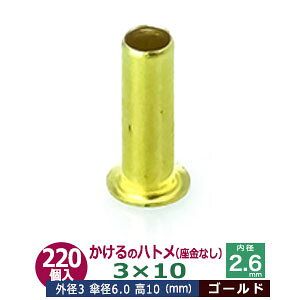  ng 3X10 3mmyS[hz 220R1 Oa 3mm  10mm a 2.6mm Pa 6.0mm LX ^J Ȃ   10mm ɏ ng dCng  ̕⋭ dC p[c ͌^ v
