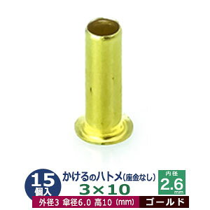  ng 3X10 3mmyS[hz 15R1 Oa 3mm  10mm a 2.6mm Pa 6.0mm LX ^J Ȃ   10mm ɏ ng dCng  ̕⋭ dC p[c ͌^ vf