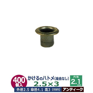  ng 2.5X3 2.5mmyAeB[NzuY 400R1 Oa 2.5mm  3mm a 2.1mm Pa 4.1mm AeB[Nh ^J Ȃ   3mm ɏ ng dCng  ̕⋭ dC 