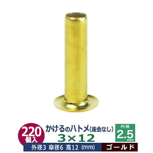  ng 3X12 3mmyS[hz220R1 Oa 3mm  12mm a 2.5mm Pa 6mmLX ^J Ȃ   12mm ɏ ng dCng  ̕⋭ dC p[c ͌^ vf