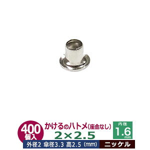  ng 2X2.5 2mmyVo[zjbP 400R1 Oa 2mm  2.5mm a 1.6mm Pa 3.3mm jbPbL ^J Ȃ   2.5mm ɏ ng dCng  ̕⋭ dC p[c 