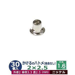  ng 2X2.5 2mmyVo[zjbP 30R1 Oa 2mm  2.5mm a 1.6mm Pa 3.3mm jbPbL ^J Ȃ   2.5mm ɏ ng dCng  ̕⋭ dC p[c 