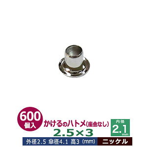  ng 2.5X3 2.5mmyVo[zjbP 400R1 Oa 2.5mm  3mm a 2.1mm Pa 4.1mm jbPbL ^J Ȃ   3mm ɏ ng dCng  ̕⋭ dC p[c 