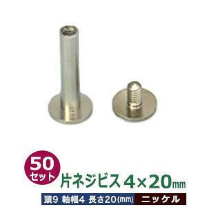 ЃlWrX 4 X 20mmyVo[z50Zbg1  9mm  4mm  20mm jbPbL ^J lW Oł Ao oC_[ t  