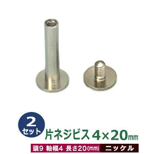 ЃlWrX 4 X 20mmyVo[z2Zbg1  9mm  4mm  20mm jbPbL ^J lW Oł Ao oC_[ t  lR|X