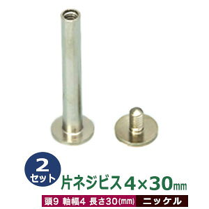 ЃlWrX 4 X 30mmyVo[z2Zbg1  9mm  4mm  30mm jbPbL ^J lW Oł Ao oC_[ t  lR|X