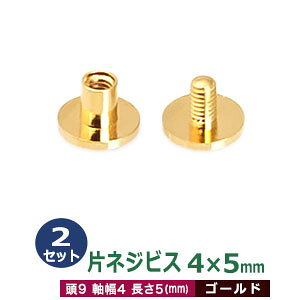ЃlWrX 4 X 5mmyS[hz2Zbg1  9mm  4mm  5mm {bL ^J lW Oł Ao oC_[ t  lR|X