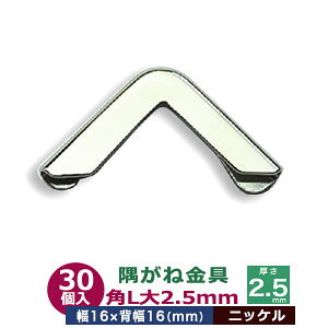 ˋ R[i[JiO pL  2.5mmyVo[z301 O  16mm×16mm  2.5mm ^J jbPbL Vo[ 蒠 \ {  v zi p ی 16mm C؂h~ 