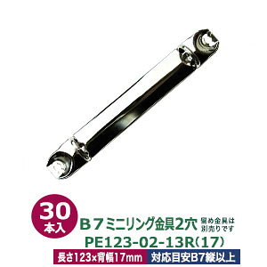 B7縦ミニリング金具【PE123-02-13R(17)】【サイズ 長さ123mm ×背幅17mm 2穴】【材質:鉄 】30本入1袋