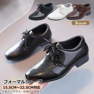 y15.5cm`22.5cmΉztH[}V[Y j̎q 傫TCY vC v[gD Gi qC Ǝ  w   \ ct WjA ʉ ʊw  wj 