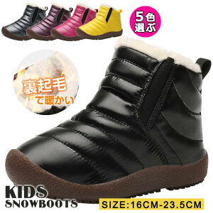 y16cm-23.5cmΉz [gu[c LbY ̎q j̎q u[c qC V[gu[c Xm[u[c TChSA  ʉ ʊw V[gu[c V H h ~ LbYV